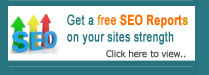 SEO Reports